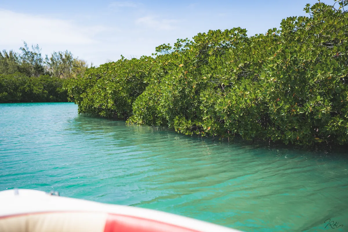 Ile Maurice — DSC02894