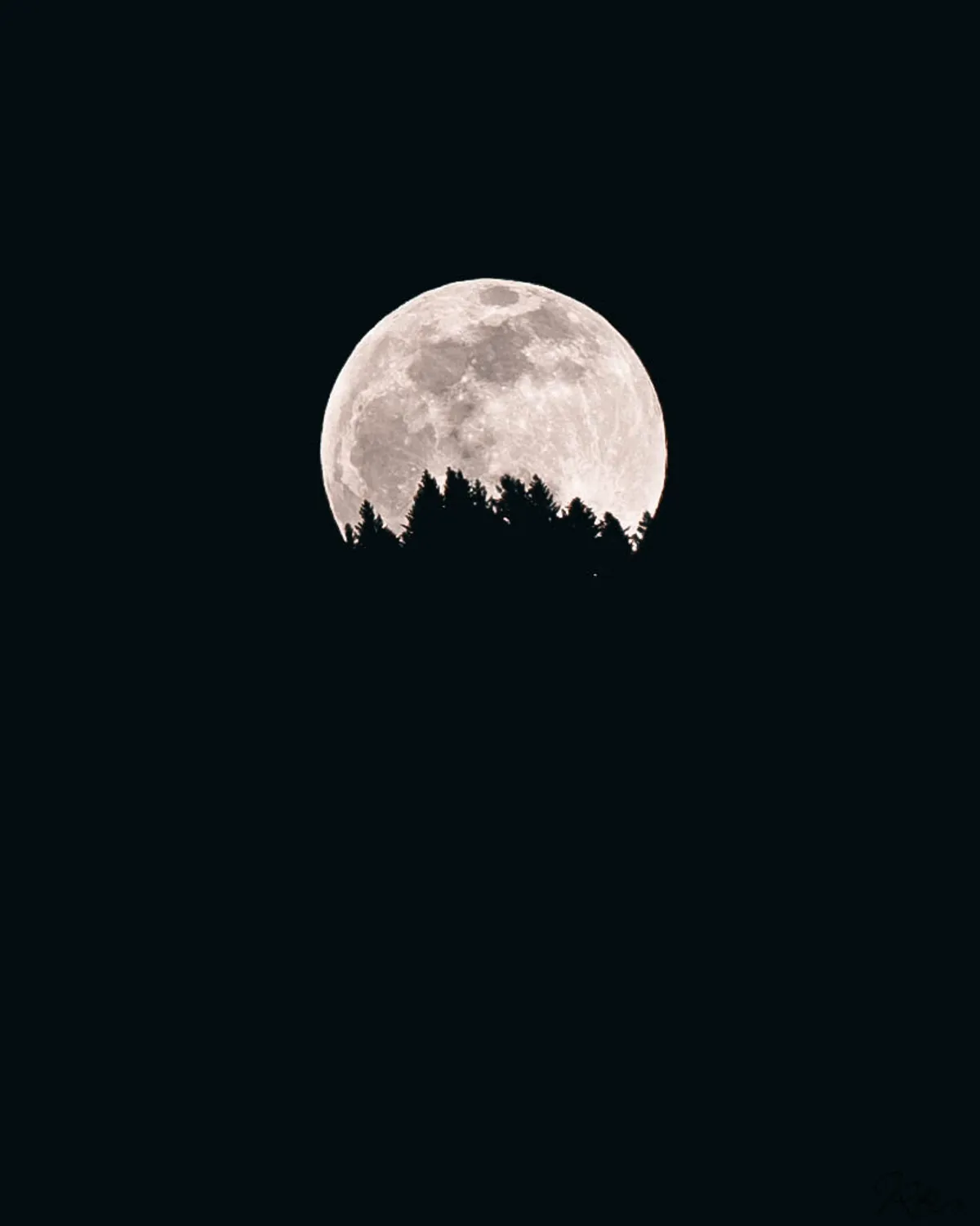 Mountain — DSC03290