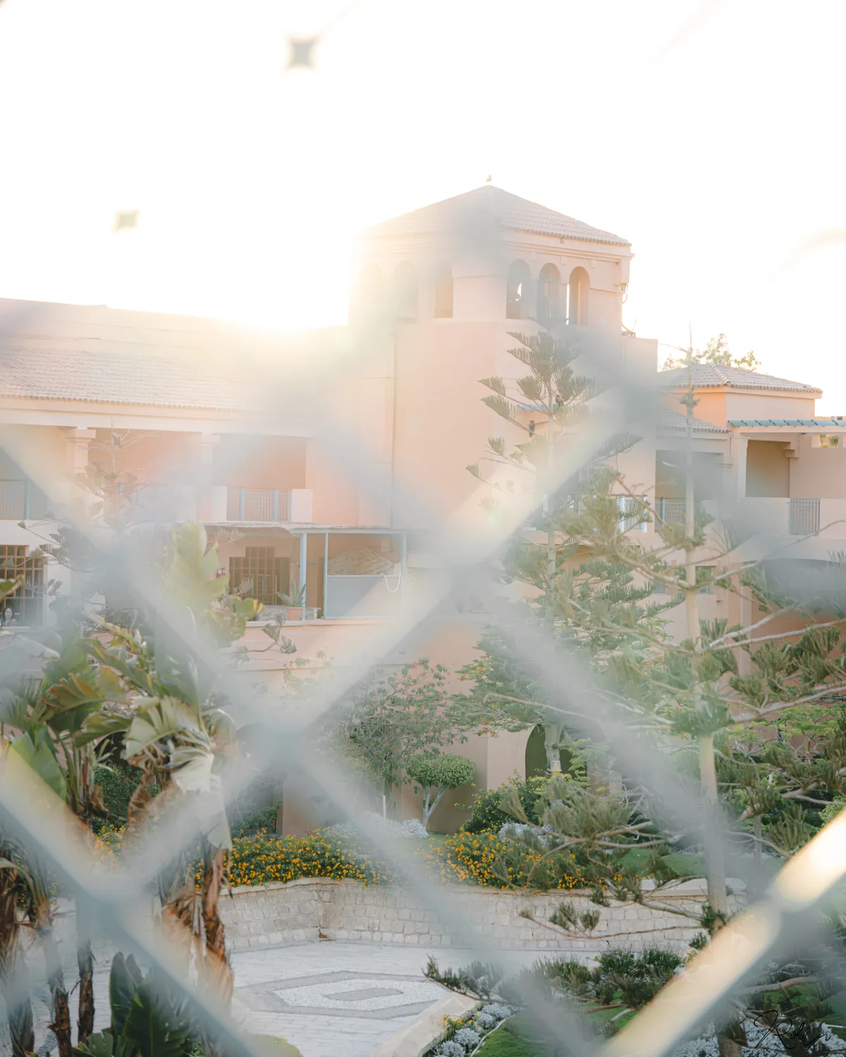 Summer Vibe — DSC04310