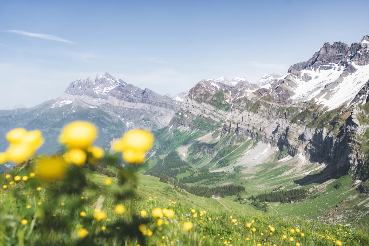 Mountain — DSC06345