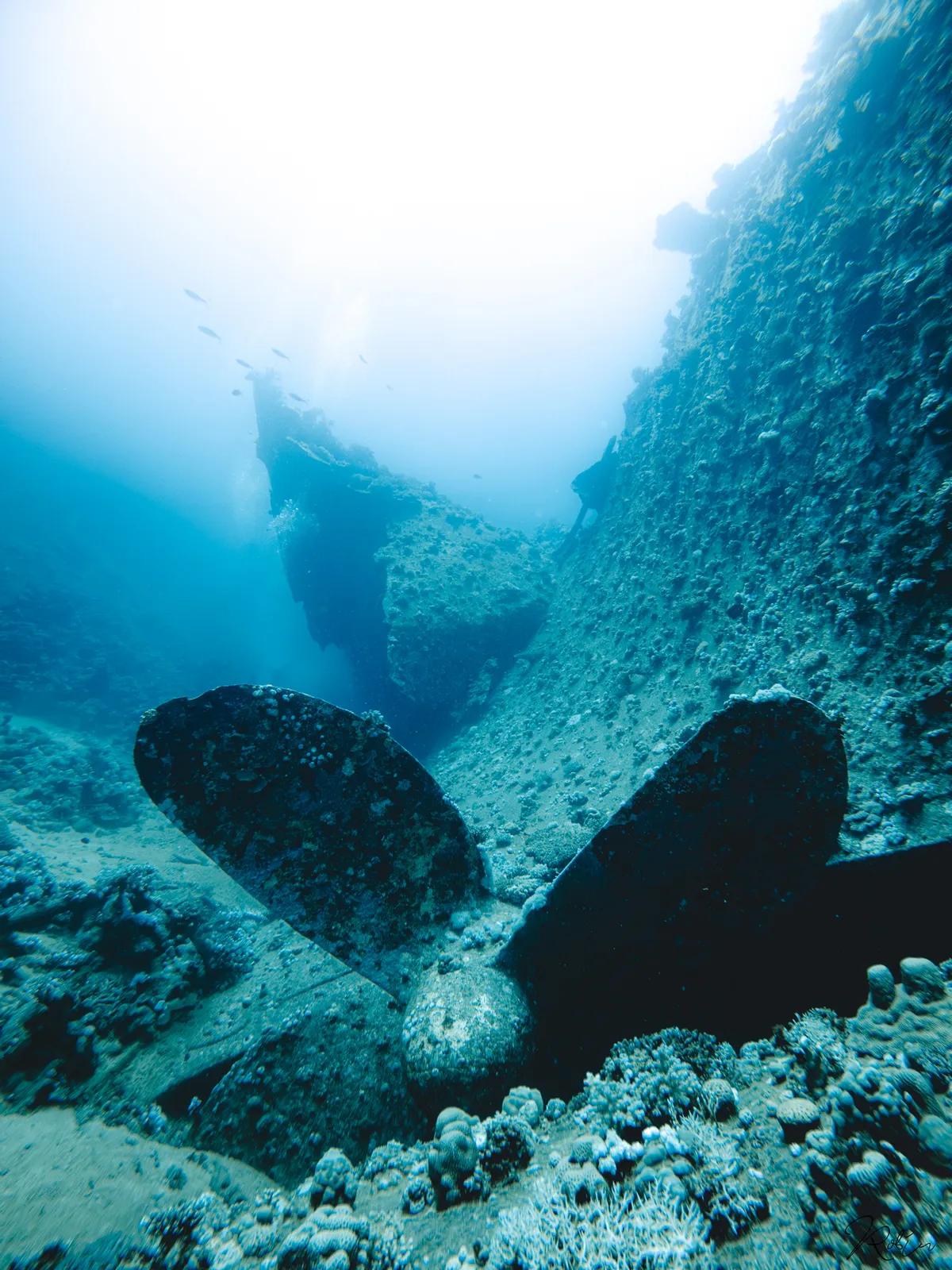 Summer Vibe — GOPR9322 Enhanced NR